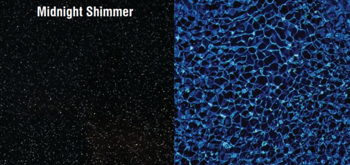 midnight-shimmer-1-1